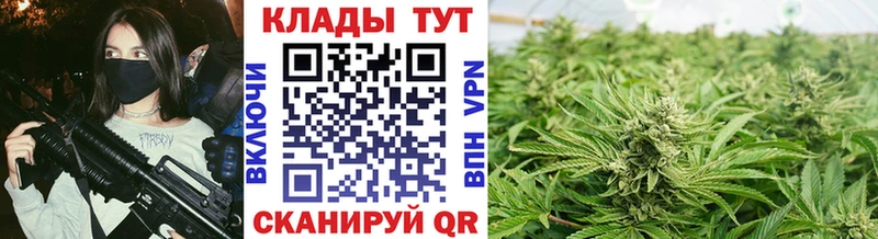 Виды наркоты Вязники Кодеин  Канабис  COCAIN  СОЛЬ 