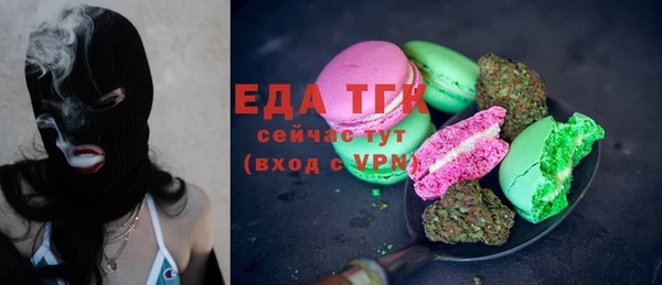 дживик Бородино