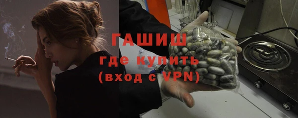дживик Бородино