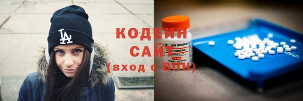 дживик Бородино