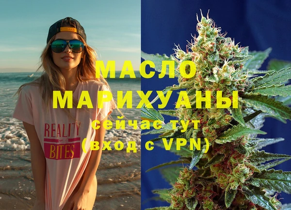 дживик Бородино