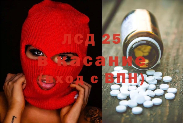 spice Богородск