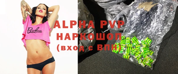 дживик Бородино