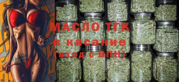 дживик Бородино
