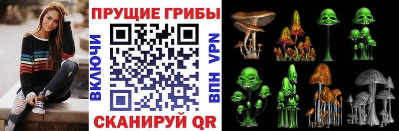 Псилоцибиновые грибы мицелий  Вязники 