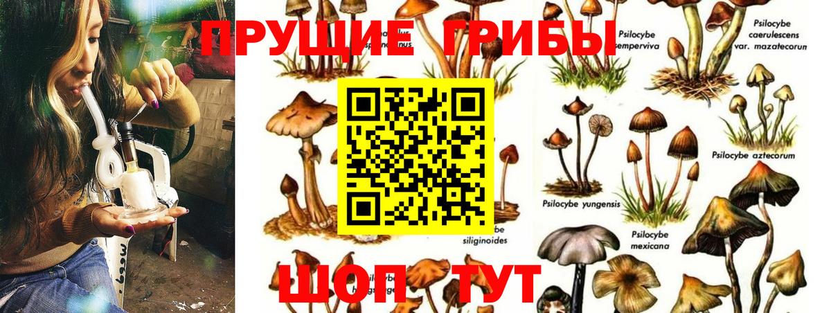 Псилоцибиновые грибы Magic Shrooms Вязники