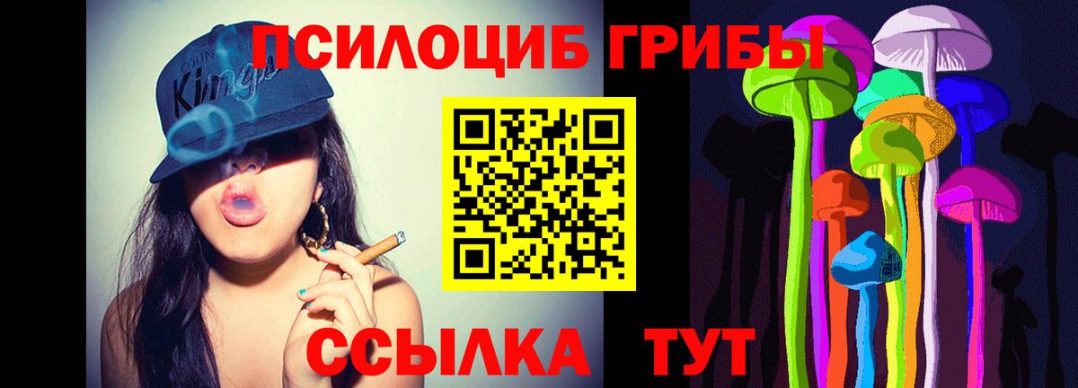 Вязники  Псилоцибиновые грибы Psilocybe  Вход с VPN 